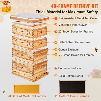 VEVOR Bee Hive 40 Frame Bee Hives Starter Kit, Beeswax Coated Wood Cedar, 2 Deep + 2 Medium Bee Boxes Langstroth Beehive Kit, Διαφανή ακρυλικά παράθυρα με βάση για αρχάριους επαγγελματίες μελισσοκόμους