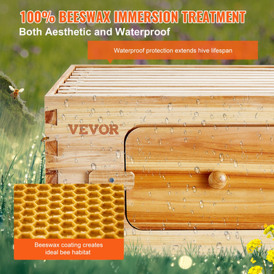 VEVOR Bee Hive Langstroth Kit Medium Beehive 10 Frames Acrylic Bee Windows