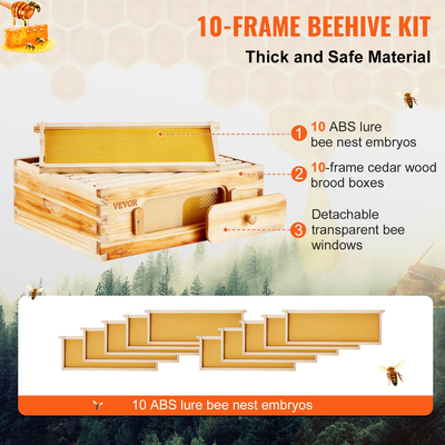 VEVOR Bee Hive Langstroth Kit Medium Beehive 10 Frames Acrylic Bee Windows