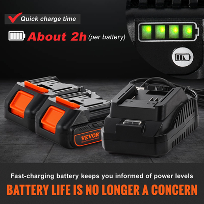 VEVOR Cordless Grease Gun Electric 20 Volt 2.0 Ah Battery Kit 10000PSI with Case