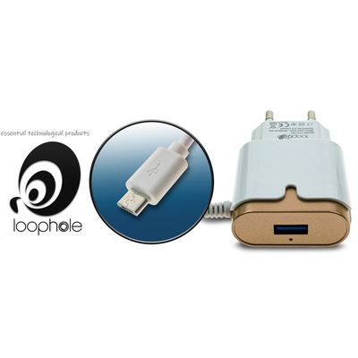 LOOPHOLE AC Adapter Micro-B GOLD