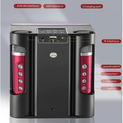 Ασύρματο ηχείο Bluetooth με 2 μικρόφωνα Karaoke - YS-207 - 887196 - Gold