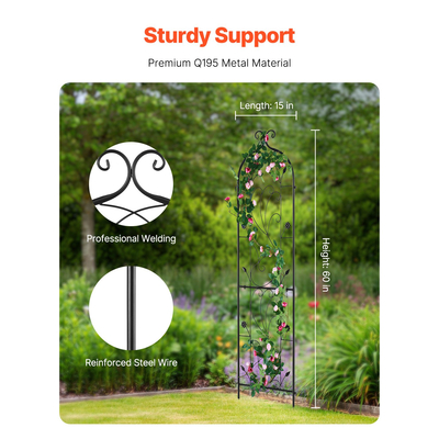 VEVOR Metal Garden Trellis for Climbing Plant Support 60 x 15 σε ανθεκτικό στη σκουριά