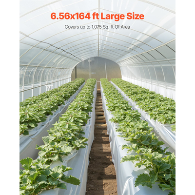 VEVOR 8Mil Πλαστικό Ρολό Φύλλων 6,5 x 164 FT Γκρι πολυαιθυλενίου βαρέως τύπου