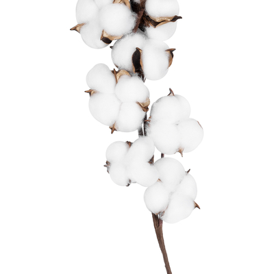 GloboStar® Artificial Garden COTTON BRANCH 20559 Τεχνητό Διακοσμητικό Κλαδί βαμβάκι Y55cm