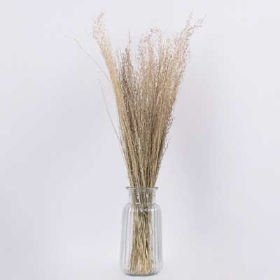 GloboStar® SILVERHAIRGRASS 36545 Αποξηραμένο Φυτό Ασημένια Χλόη - Μπουκέτο Διακοσμητικών Κλαδιών Μπεζ Υ60cm
