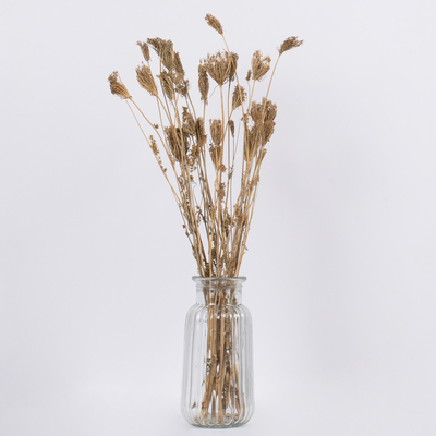 GloboStar® WILDCARROT 36546 Αποξηραμένο Φυτό Άγριο Καρότο - Μπουκέτο Διακοσμητικών Κλαδιών Μπεζ Υ60cm