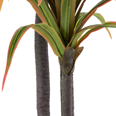 GloboStar® Artificial Garden DRAGON BLOOD TREE 20371 - Τεχνητό Διακοσμητικό Φυτό Δράκαινα Υ220cm