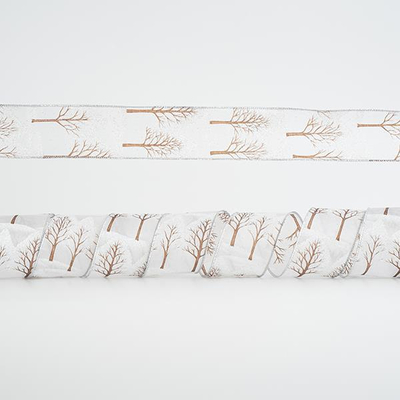 ΚΟΡΔΕΛΑ ΔΙΑΦΑΝΗ, ΜΕ ΔΕΝΤΡΑ, 6,35cm, 10Y