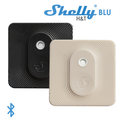Shelly BLU H&T | Shelly BLU H&T