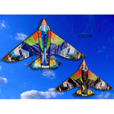 Χαρταετός με σχέδιο - 1.2m - 981119