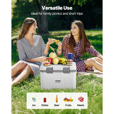 VEVOR Portable Cooler 21 QT Insulated Cooler 30 Can Capacity with Handles Strap