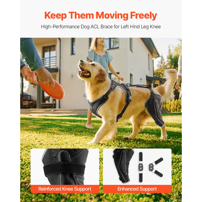 Ρυθμιζόμενος γονατωτός νάρθηκας πρόσθιου χιαστού συνδέσμου για σκύλους VEVOR για το αριστερό πίσω πόδι, για ανακούφιση από τον πόνο