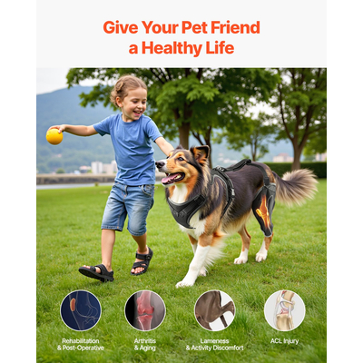 Ρυθμιζόμενος γονατωτός νάρθηκας πρόσθιου χιαστού συνδέσμου για σκύλους VEVOR για το αριστερό πίσω πόδι, για ανακούφιση από τον πόνο