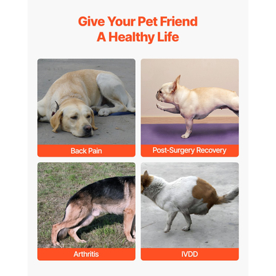 Ρυθμιζόμενη ζώνη στήριξης σπονδυλικής στήλης σκύλου VEVOR για ανακούφιση από τον πόνο στην κοιλιακή χώρα