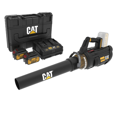 CAT Combo-14 Φύσητήρας DG250B + δώρο κασετίνα + -35% 2 μπαταρίες 4.0Ah με διπλό φορτιστή DXK900