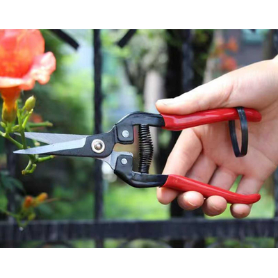 Ψαλίδι κλαδέματος - 291448