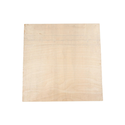 GloboStar® Artificial Garden VARIOUS PLANT 20641 Τεχνητό Διακοσμητικό Φυλλωσιάς σε Ξύλινο Πάνελ  - Κάθετος Κήπος Μιξ Μ60 x Π60 x Υ32cm