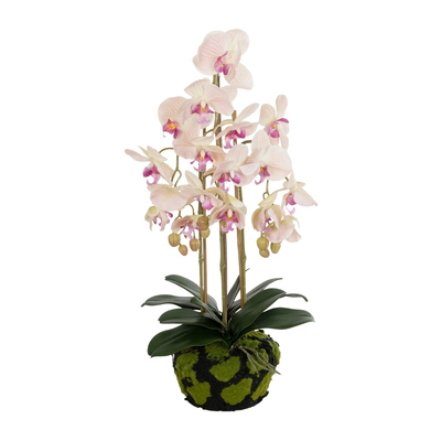 GloboStar® Artificial Garden BUTTERFLY ORCHID BONSAI 21400 Τεχνητό Διακοσμητικό Φυτό Ορχιδέα Μ34 x Π27 x Υ65cm