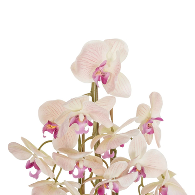 GloboStar® Artificial Garden BUTTERFLY ORCHID BONSAI 21400 Τεχνητό Διακοσμητικό Φυτό Ορχιδέα Μ34 x Π27 x Υ65cm