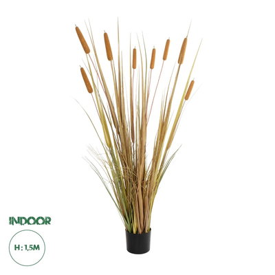 GloboStar® Artificial Garden TYPHA GRASS 21483 Τεχνητό Διακοσμητικό Φυτό Γρασίδι της Τύφας Μ70 x Π40 x Υ150cm