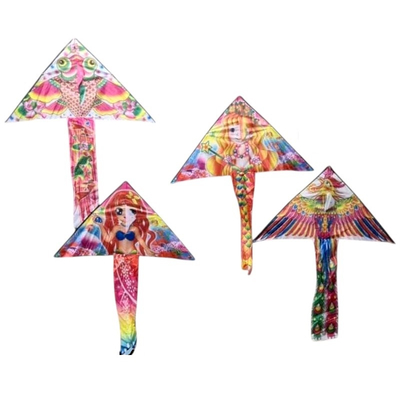 Χαρταετός με σχέδιο - 1.4m - 981225