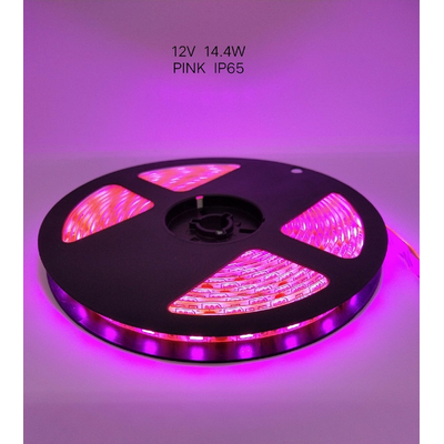 Ταινία LED – LED Strip - IP65 - 5m - Pink - 891207
