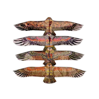 Χαρταετός με σχέδιο - 1.1m - 981010