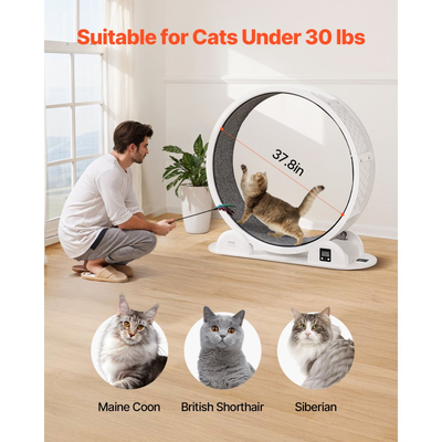 Τροχός άσκησης γάτας VEVOR με βηματόμετρο, 40,8 ίντσες, Τροχός τρεξίματος γάτας με φρένο και διάδρομο με μοκέτα, Αθόρυβος διάδρομος γάτας για γάτες εσωτερικού χώρου κάτω των 13 κιλών, Γυμναστήριο γάτας για κατοικίδια Υγεία & Ευεξία Λευκό