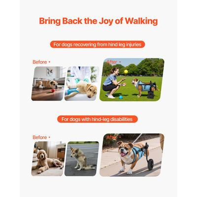 Αναπηρικό αμαξίδιο σκύλου VEVOR για πίσω πόδια, ρυθμιζόμενο 2 τροχούς, ελαφρύ καρότσι σκύλου με τροχούς απορρόφησης κραδασμών, αναπηρικό αμαξίδιο υποστήριξης κινητικότητας για τραυματισμένους σκύλους με αναπηρία έως 15 κιλά, μεσαίο