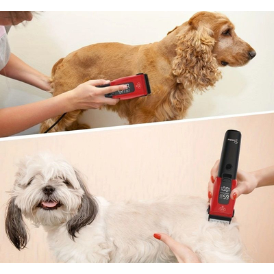 Κουρευτική μηχανή κατοικιδίων - KM-CW2103 - Kemei