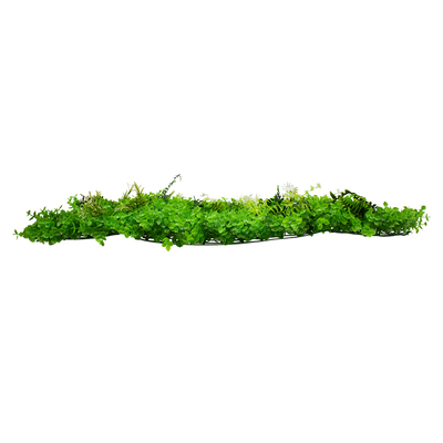 GLOBOSTAR® BUXUS 78412 Τεχνητό Πάνελ Φυλλωσιάς / Κάθετος Κήπος Καυκάσιο Πυξάρι, Φτέρη & Tokyo Sun - Πράσινο - Μ60 x Υ9 x Π40cm - Πράσινο - Μ60 x Υ9 x Π40cm