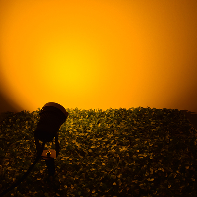 GLOBOSTAR® TREECOBO 75584 Φωτιστικό Σποτ για Φυτά - Δέντρα με Βάση Κήπου / Καρφωτό LED 10W 1000lm 35° DC 12-24V Αδιάβροχο IP67 Ultra Θερμό Λευκό 2200K Dimmable - Bridgelux COB Chip - Μαύρο - Μ6 x Π6 x Υ12.5cm - 2 Χρόνια Εγγύηση