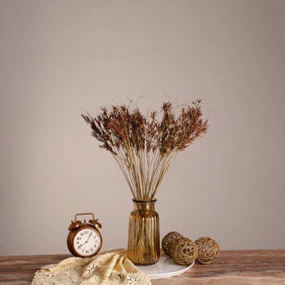 GloboStar® CYPERUS 36500 Αποξηραμένο Φυτό Κύπειρος - Μπουκέτο Διακοσμητικών Κλαδιών Μπεζ - Καφέ Υ60cm - Σετ 50 τμχ
