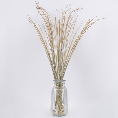 GloboStar® SMUTGRASS 36502 Αποξηραμένο Φυτό Χορταφιλιά - Μπουκέτο Διακοσμητικών Κλαδιών Μπεζ - Πράσινο Υ90cm - Σετ 100 τμχ