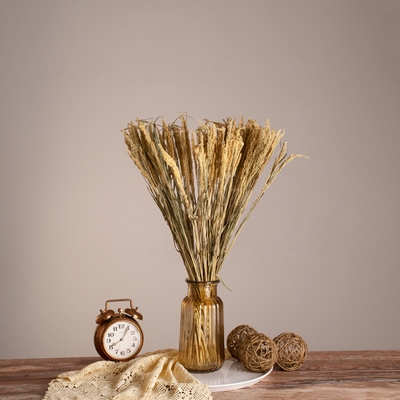 GloboStar® ERICAGRASS 36504 Αποξηραμένο Φυτό Έρρικα - Μπουκέτο Διακοσμητικών Κλαδιών Μπεζ - Πράσινο Υ60cm - Σετ 100 τμχ