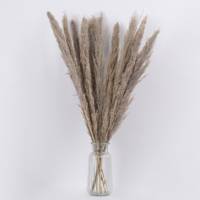 GloboStar® PAMPASGRASS 36511 Αποξηραμένο Φυτό Γρασίδι της Πάμπας - Μπουκέτο Διακοσμητικών Κλαδιών Καφέ - Γκρι Υ80cm - Σετ 10 τμχ
