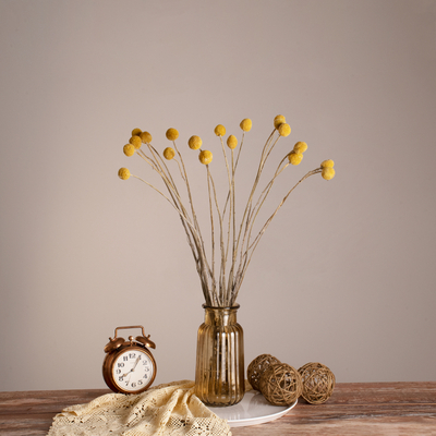 GloboStar® GRASPEDIA 36533 Αποξηραμένο Φυτό Κρασπέδια Φ3cm - Μπουκέτο Διακοσμητικών Κλαδιών Μπεζ - Κίτρινο Υ70cm - Σετ 20 τμχ
