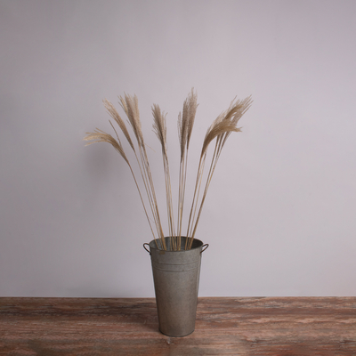 GloboStar® MISCANTHUS 36538 Αποξηραμένο Φυτό Μίσχανθος - Μπουκέτο Διακοσμητικών Κλαδιών Μπεζ Υ120cm - Σετ 10 τμχ