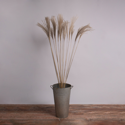 GloboStar® MISCANTHUS 36539 Αποξηραμένο Φυτό Μίσχανθος - Μπουκέτο Διακοσμητικών Κλαδιών Μπεζ Υ140cm - Σετ 10 τμχ