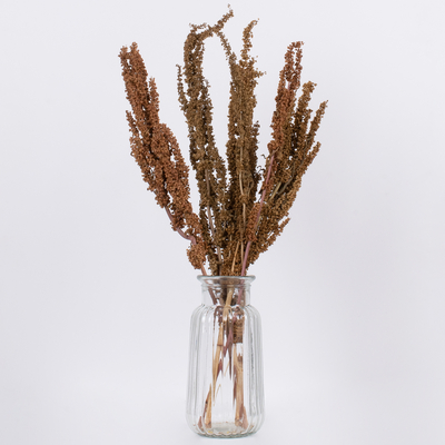 GloboStar® CURLYDOCK 36541 Αποξηραμένο Φυτό Αγριολάπαθο - Μπουκέτο Διακοσμητικών Κλαδιών Μπεζ - Καφέ Υ60cm - Σετ 8 τμχ