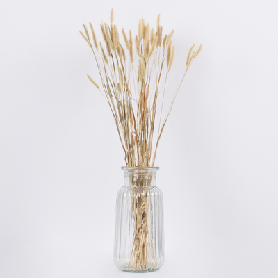 GloboStar® FOUNTAINGRASS 36542 Αποξηραμένο Φυτό Πεννίζετο - Μπουκέτο Διακοσμητικών Κλαδιών Μπεζ - Πράσινο Υ60cm - Σετ 50 τμχ