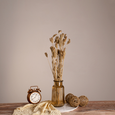 GloboStar® WILDCARROT 36546 Αποξηραμένο Φυτό Άγριο Καρότο - Μπουκέτο Διακοσμητικών Κλαδιών Μπεζ Υ60cm - Σετ 10 τμχ