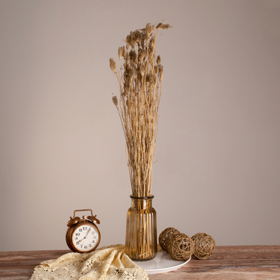 GloboStar® WILDCARROT 36547 Αποξηραμένο Φυτό Άγριο Καρότο - Μπουκέτο Διακοσμητικών Κλαδιών Μπεζ Υ80cm - Σετ 10 τμχ