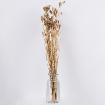 GloboStar® WILDCARROT 36547 Αποξηραμένο Φυτό Άγριο Καρότο - Μπουκέτο Διακοσμητικών Κλαδιών Μπεζ Υ80cm - Σετ 10 τμχ