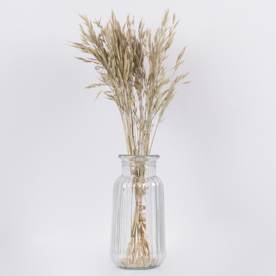 GloboStar® WHEAT 36548 Αποξηραμένο Φυτό Σίτος - Μπουκέτο Διακοσμητικών Κλαδιών Μπεζ - Πράσινο Υ60cm - Σετ 50 τμχ