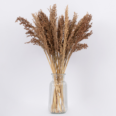 GloboStar® BROOMCORN 36553 Αποξηραμένο Φυτό Γλυκό Σόργο - Μπουκέτο Διακοσμητικών Κλαδιών Καφέ Υ60cm - Σετ 20 τμχ