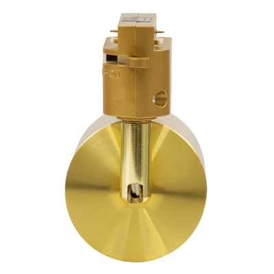 GLOBOSTAR® LEO 60357 Κινούμενο Φωτιστικό Σποτ Ράγας με Ντουί 1 x GU10 AC 220-240V IP20 - Χρυσό Πλατίνα - Μ6 x Π6 x Υ19cm