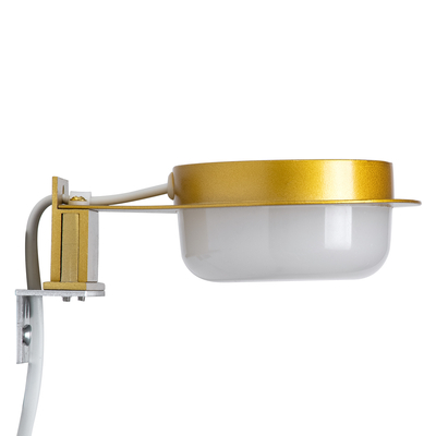 GloboStar® KIARA 60401 Μοντέρνο Φωτιστικό Τοίχου - Απλίκα Καθρέπτη Μπάνιου με 3 Τρόπους Τοποθέτησης LED 5W 560lm 120° AC 220-240V IP44 Μ10 x Π13 x Υ3cm - Φυσικό Λευκό 4500K - Χρυσό - 3 Χρόνια Εγγύηση