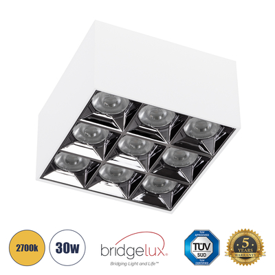 GLOBOSTAR® LUMINAR 60339 Downlight Σποτ LED 30W 4050lm 36° AC 220-240V IP20 Θερμό Λευκό 2700K - Osram SMD Chip & TÜV SÜD Driver - Λευκό Ματ - Μ12 x Π12 x Υ6.6cm - 5 Χρόνια Εγγύηση